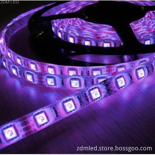 Christmas decorating RGB 5050 flexible rope lights DC12V